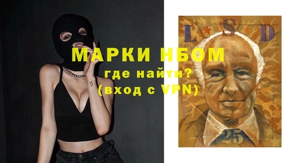 индика Наволоки