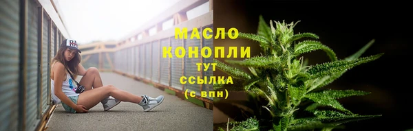 индика Наволоки